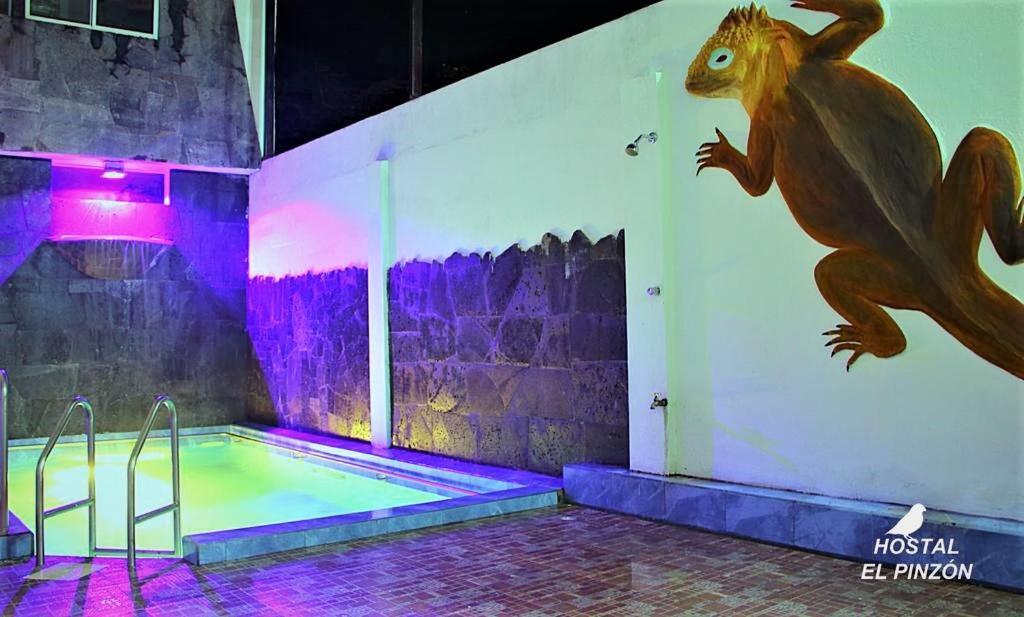 פורטו איורה Hostal El Pinzon מראה חיצוני תמונה